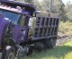 Man crashes head-on with dump truck, flees into woods