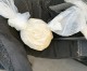Cocaine, cash found after stop, foot chase