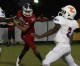 ‘Dogs fall on the road to Wakulla 50-14