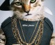 ‘Keanu’ combines the humor of ‘Key & Peele’ and the cute factor of cats