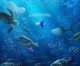 Review: ‘Finding Dory’ returns to the sea for a wonderful Pixar adventure