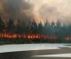 Arson is a leading cause of wildfires