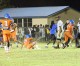 FHSAA investigating bench-clearing brawl between Madison and Taylor football teams