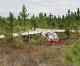 Plane crashes near Josh Ezell Grade; pilot escapes with only minor injuries