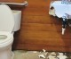 Rosehead restrooms vandalized